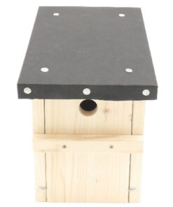 101_0480-Photoroom.png-Photoroom