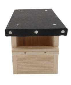 101_0604-Photoroom.png-Photoroom