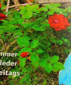 Andachtsbuch Immer wieder freita