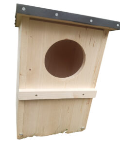 Entenhaus für Schellenten - 6-Ph