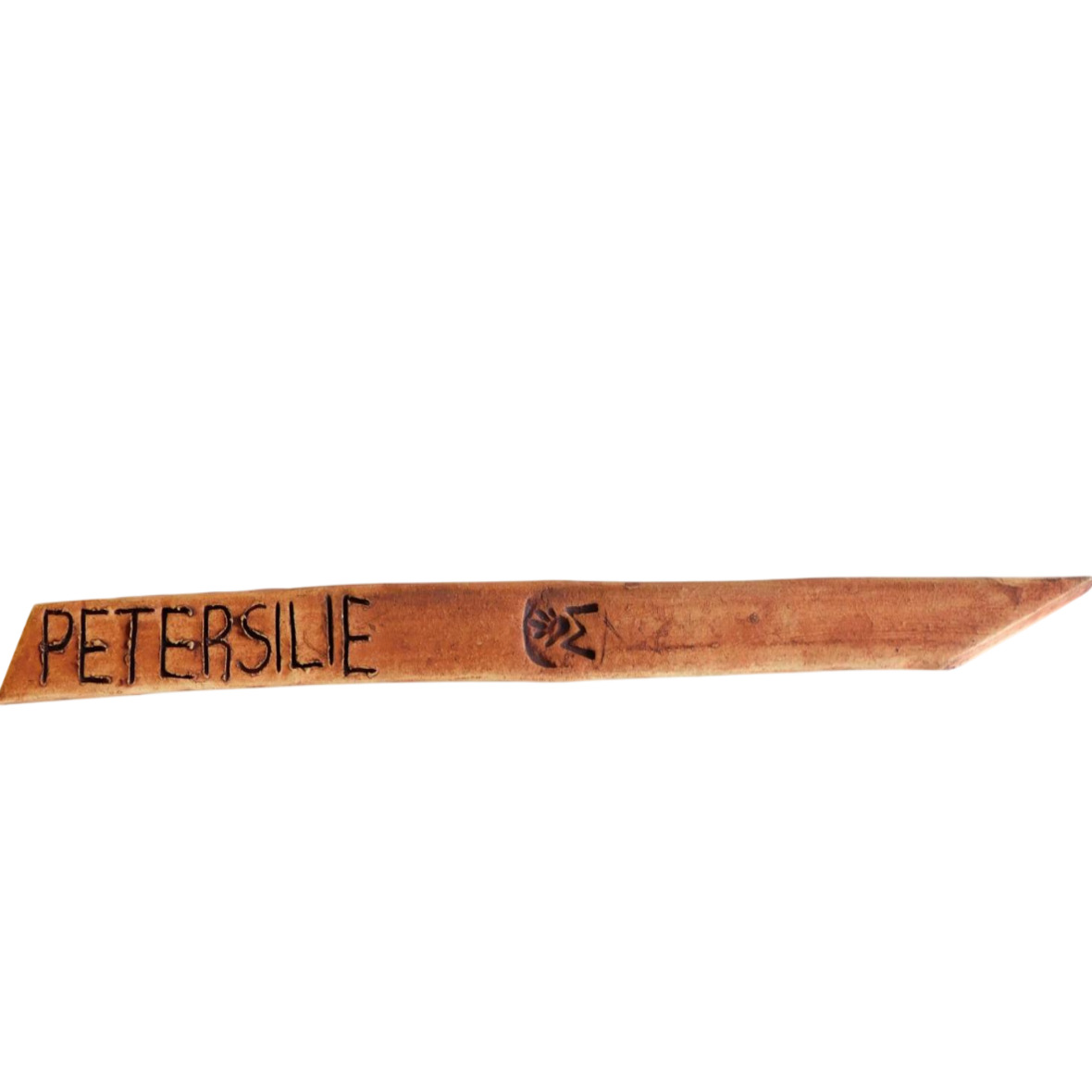 Kräuterstecker Petersilie - 1-Ph.jpg1