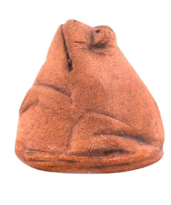 Magnet Frosch - 2-Photoroom