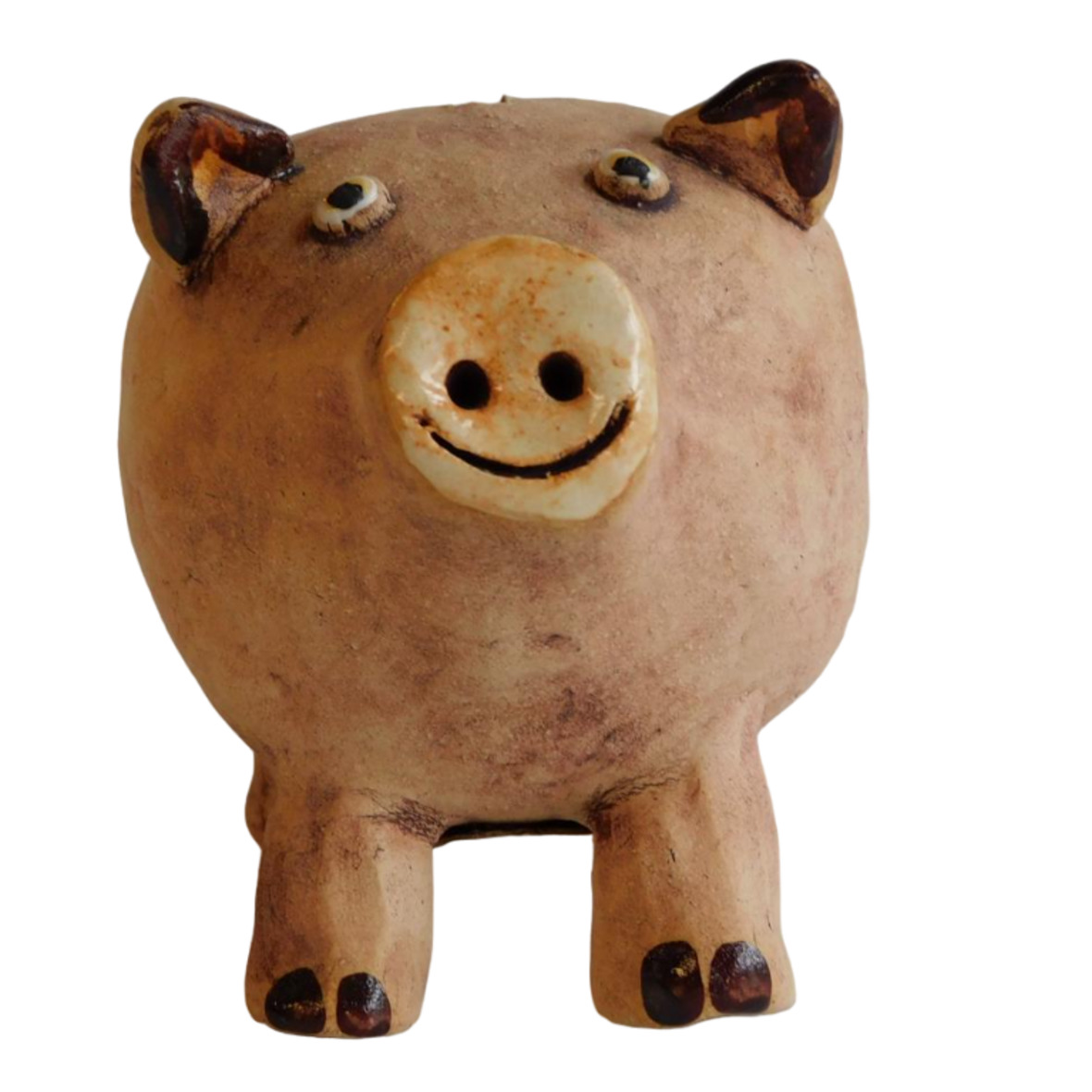Spardosen Schwein - 1-Photoroom