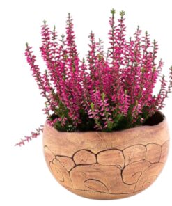 Übertopf Pflanzkugel - 1