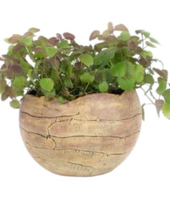 Übertopf Pflanzkugel - 3