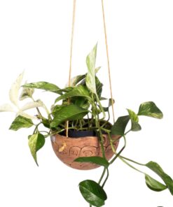 Übertopf Pflanzkugel - 8