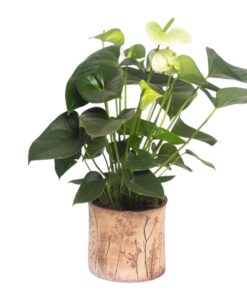 Übertopf floral Blumenwiese - 3