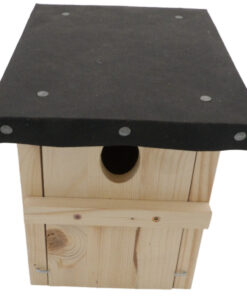 101_0535-Photoroom.png-Photoroom.jpg