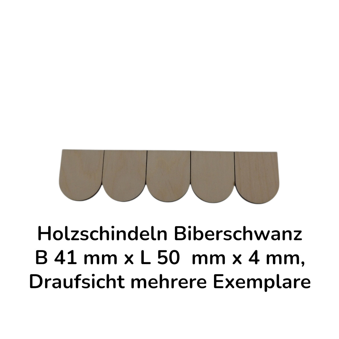 23.444_Holzschindeln_Biberschwanz_07