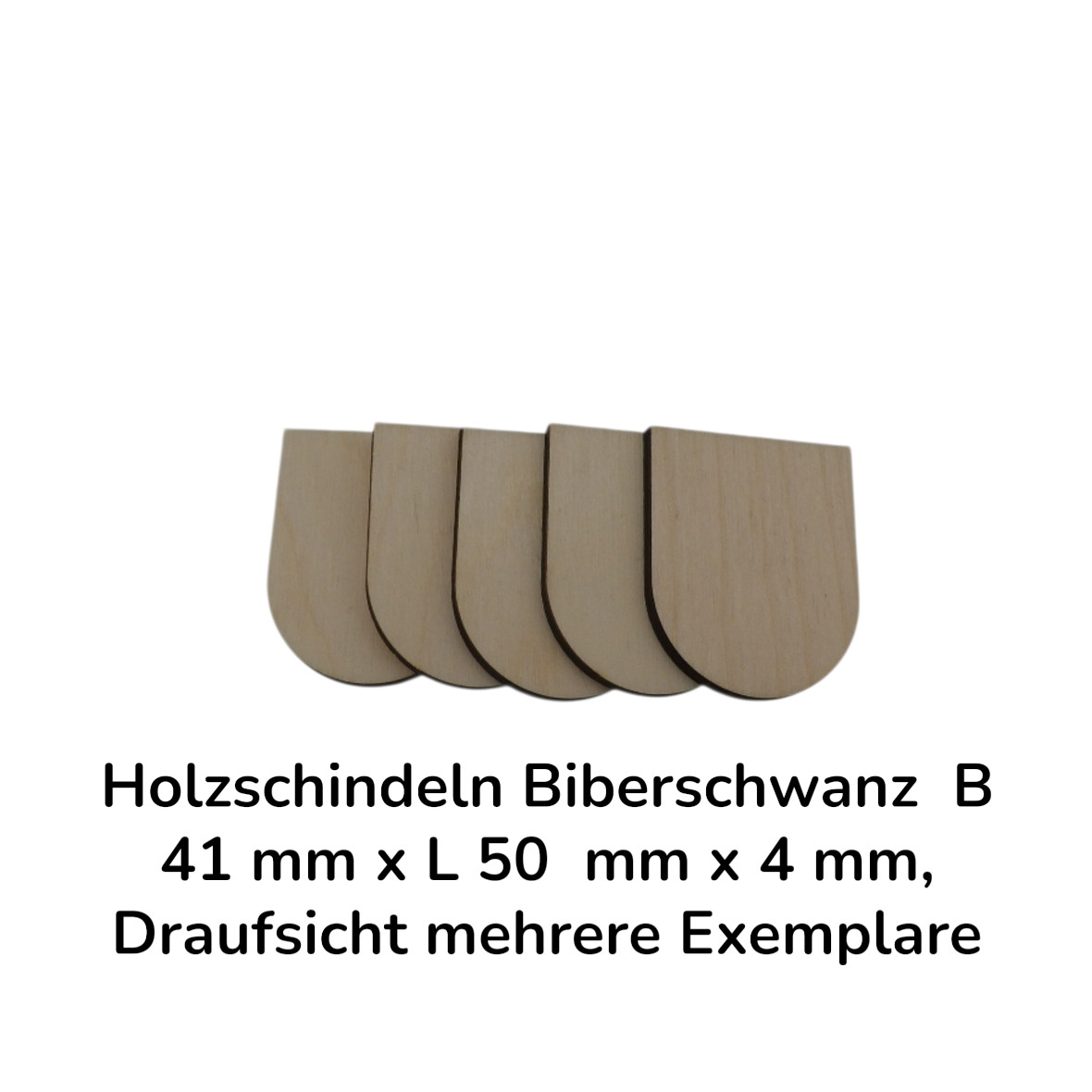 23.444_Holzschindeln_Biberschwanz_09
