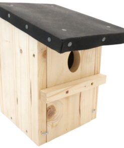 101_0536-Photoroom.png-Photoroom