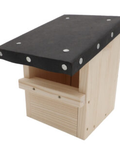 101_0601-Photoroom.png-Photoroom