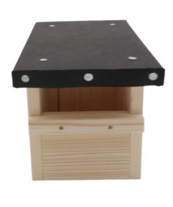 101_0604-Photoroom.png-Photoroom (2)