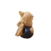 101_2660-Photoroom